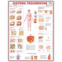 Mapa Sistema Tegumentar Do Corpo Humano 120x90 Cm - Medicina - Enfermagem - Dobrado