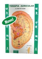 Mapa Terapia Auricular - Dr. Tran Viet Dzung