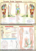 Mapa Terapia Podal Japonesa Mapa Terapia Podal Japonesa