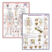 Mapas Dobrados Do Sistema Esquelético 1 + Sistema Esquelético 2 - 120x90cm - Escolar