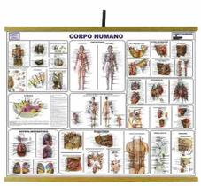 Mapas Educativos - Corpo Humano 900x1200mm Mapas Educativos - Corpo Humano 900x1200mm