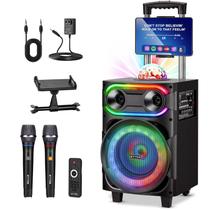 Máquina de karaokê EYTSE para adultos com 2 microfones sem fio