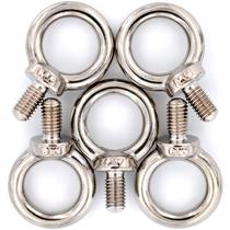 Maquinário de elevação de aço inoxidável Eyebolt M8 (5 unidades)