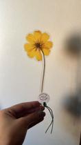 Marca página flor natural de cosmo amarela