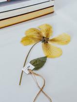 Marca página natural flor de hibisco amarela