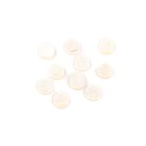 Marcador Escala Madrepérola (10 Unidades) Spirit AP34-MOP