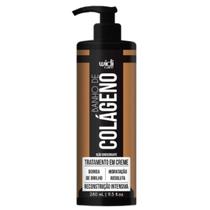 Mascara Banho De Colágeno Widi Care Tratamento Reconstrução Capilar Brilho Hidratação 280ml