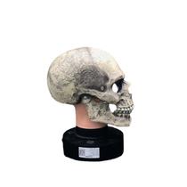 Máscara de caveira de esqueleto de Halloween, mandíbula móvel, PVC, tamanho único Máscara de caveira de esqueleto de Halloween, mandíbula móvel, PVC, tamanho único