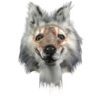 Máscara de cosplay, máscara de cabeça de lobo, chapelaria, rosto inteiro