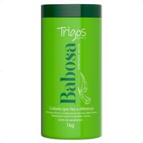 Máscara de Hidratação Babosa Trigos da Terra 1Kg Máscara de Hidratação Babosa Trigos da Terra 1Kg