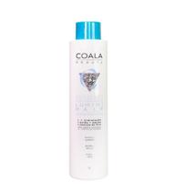 Máscara de tratamento e realinhamento lumini hair 1l - coala beauty