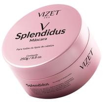 Máscara Hidratação Pro Hyaluronico Splendidus Vizet 250gr