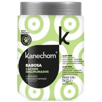 Máscara Hidratante Babosa Cachos Disciplinados 1kg Máscara Hidratante Babosa Cachos Disciplinados 1kg