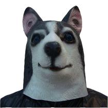 Máscara Husky Dog Latex Funny Animal Head Cover Shepherd