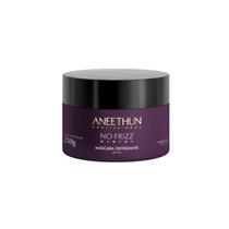 Máscara No Frizz System Aneethun 250g Tratamento Antifriz Profissional