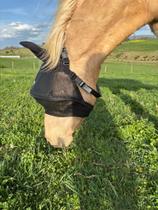 Máscara para Moscas de Cavalo Solar Vizor Mini com Proteção UV 100% Máscara para Moscas de Cavalo Solar Vizor Mini com Proteção UV 100%