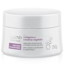 Máscara Reconstrutora com Colágeno e Creatina Vegetais Amend Science 250g