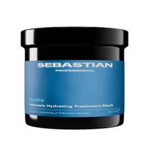 Mascara Sebastian Professional Hydre 500ml