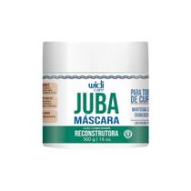 Mascara Widi Care 500G Juba Reconstrutora