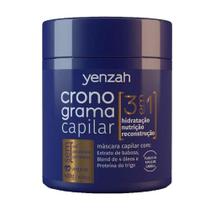 Máscara Yenzah Cronograma Capilar 3 Em 1 Antifrizz 480G