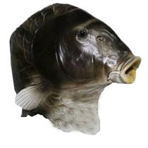 Mask Fish Halloween Cosplay Prop Party Capa facial completa