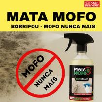 Mata Mofo Eurodecor Teto de Banheiro Pisos Rejuntes Madeiras e Armários