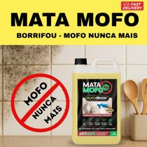 Mata Mofo Eurodecor Teto de Banheiro Pisos Rejuntes Madeiras e Armários
