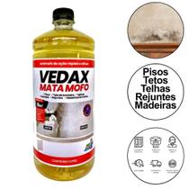 Mata Tira Mofo Parede Teto Piso Armário Elimina 100% 1 Litro