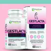 Mater Gestlacta Acido Folico Ferro 300 cápsulas 500 mg