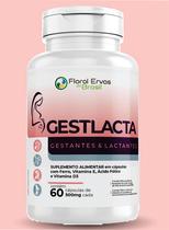 Mater Gestlacta Acido Folico Ferro 60 cápsulas 500 mg - Floral Ervas Do Brasil