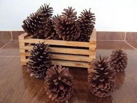 Material Para Artesanato 40 Pinhas Naturais Sortidas Material Para Artesanato 40 Pinhas Naturais Sortidas
