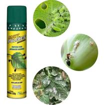 Matt PuLGões Cochonilha Piolho couve PuLGão rúcula Mosquito Dengue Carrapato Verduras Aerosol Spray 400ml Fácil Aplicaçã