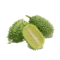 Maxixe Caipira do Norte - 1gr de Sementes