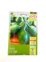 Maxixe Liso Jaiba- 10gr de sementes