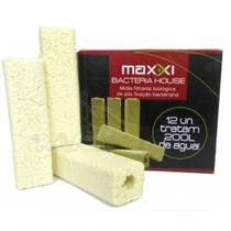 Maxxi Bacteria House 12un (quadrada) Maxxi Bacteria House 12un (quadrada)