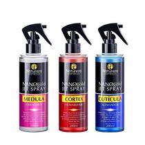 Medula + cortex + cutucula