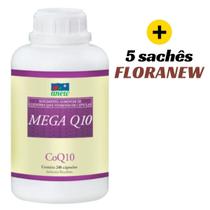 Mega Q10 Anew 240 Caps
