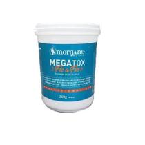 Megatox Botox Fio A Fio Morgane 250g Mega Hidratante