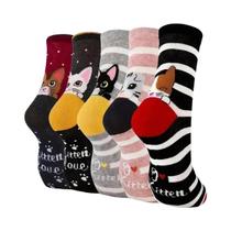 Meias Femininas Divertidas Com Estampa De Gato Em Cartoon, Conjunto De 5 Pares Coloridos De Algodão Meias Femininas Divertidas Com Estampa De Gato Em Cartoon, Conjunto De 5 Pares Coloridos De Algodão