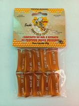 Mel com 10 sachês 40g mel de própolis sabor Gengibre