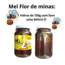 Mel com favo silvestre 750g flor de minas