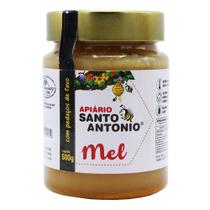 Mel Com Pedaços de Favo Apiário Santo Antonio 500g