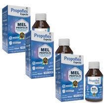 Mel Composto: Mel + Própolis Verde + Copaíba 3 frascos
