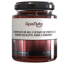 Mel Composto Própolis Eucalipto Gengibre e Romã 300g - ApisNutri