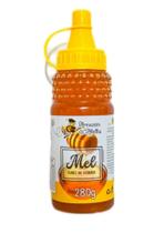 Mel de Abelhas Puro - 280 g - Silvestre de flores do cerrado