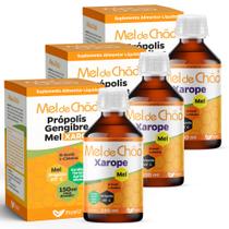 Mel de Chão com Própolis e Gengibre - 60ml - Muwiz