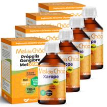 Mel de Chão com Própolis e Gengibre - 60ml - Muwiz