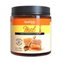 Mel de Florada Silvestre Puro Pote PET 1kg - ApisNutri