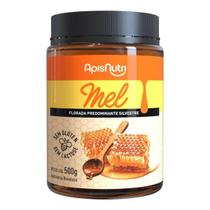 Mel de Florada Silvestre Puro Pote PET 500g - ApisNutri