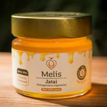 Mel de Jataí (160g)